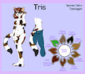 Ref Sheet: Tris by Dae