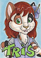 Tris Badge by Likeshine