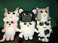 Plushie - Photoshoot
