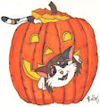 Pumpkin Exploring by Rollarwolfcub by Trisity