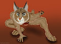Bob the Bobcat