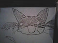 Bat-cat