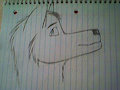 Wolfi