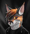 Louie Headshot
