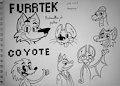 22-05-2016 Stunfest Coyote