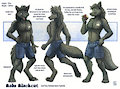 Balu Blackcat Charactersheet