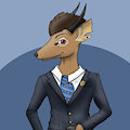 Dapper Dik-Dik: Ansley Madoqua