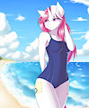 Lawy in summer