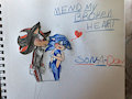 Sonadow-Mend my broken heart 