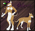 Alexis the Doberman