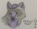 Feral Hatchet by MaxHaruKitsune
