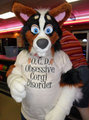 Stirling The Corgi 3