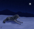 Longing... by LostWolfSpirit