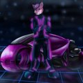 Xander On the Grid by XanderHuskypup