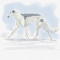 Zoi Trot