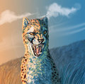 "Ha ha" goes the Rabid Cheetah