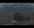 Feel The Rain