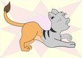 male kitten to lioness