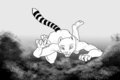 [GIFT] CatWeasel