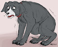 Hyena