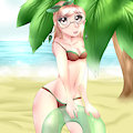 At the beach