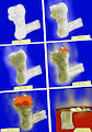 The Life of Kanada's Sock by Kanada