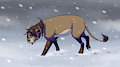 Winter is Coming