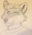 First Drawing