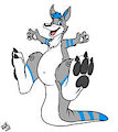 Cosmic goes Australian! by JDPuppy