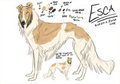 Esca Reference