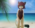 Let's swim :3