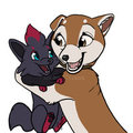 Shiba loves Zorua