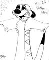 Timon introducing himself 