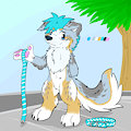 walkies