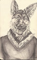 Sheppy Gift Art by SeanHart