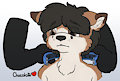 Putting on the collar