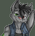 *Q*_Boony