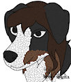 Sissy Bernese