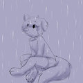 thoughts by Gaokun