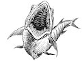 Muraecuda Full Body And Teeth