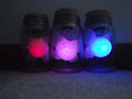 My Fairies in bottles by comjuke