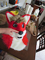 Fursuit Completed Set
