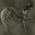 Creeper Zoi