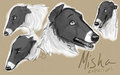 Misha - Expressions