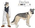 Doctor Dog