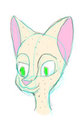 Random Kitty