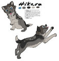 Hikaru Reference