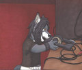 Headphones
