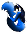 Midnight Fox