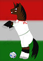 Pajkos cheer for the Hungarians by szello18